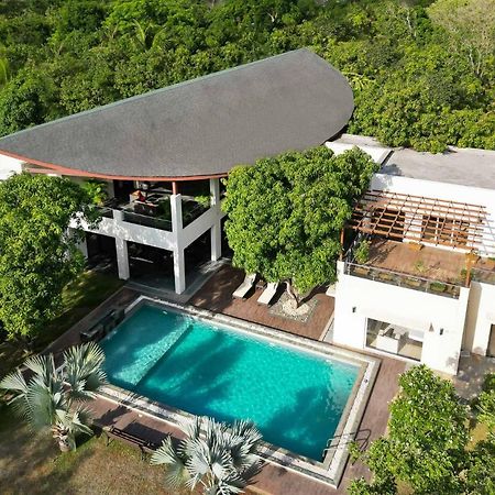 The Leaf By Stayvista - An Enchanting Escape Offering A Pool, Terrace, Lush Lawn, Contemporary Interiors, And Indoor Games آليباغ المظهر الخارجي الصورة